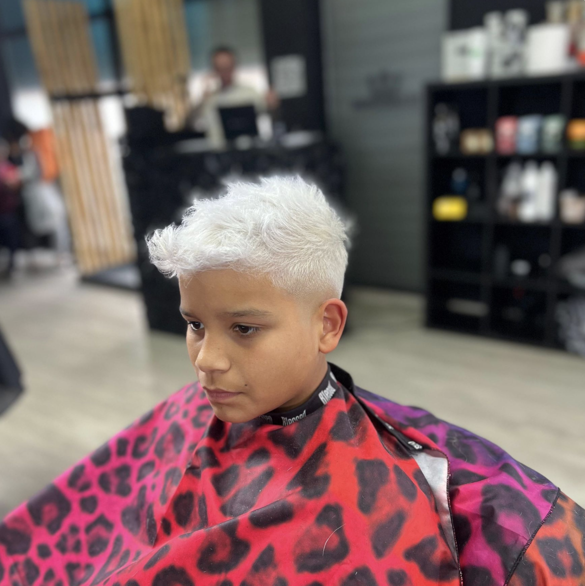 Corte de caballero en The Barber Kingdom